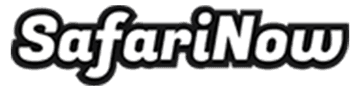 SafariNow